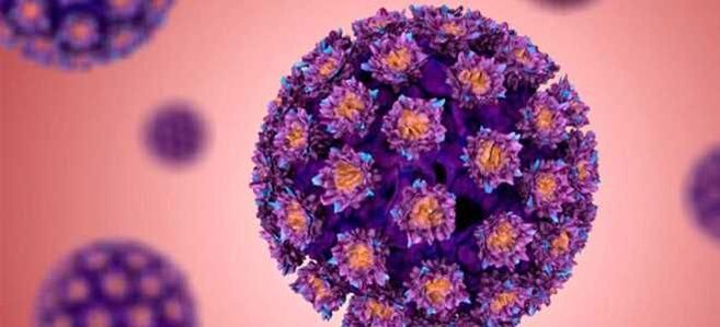 HPV – inimese papilloomiviirus